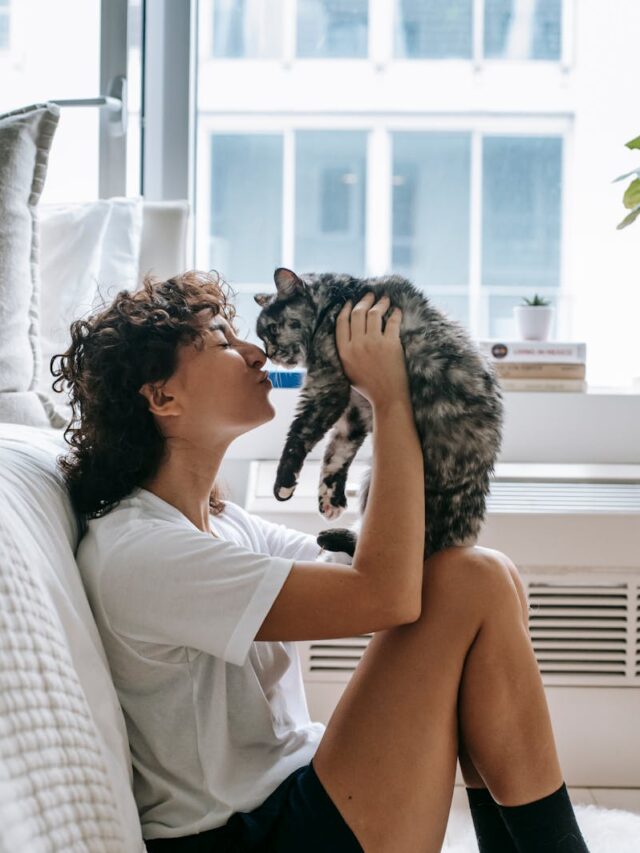 Charming woman kissing cute cat in bedroom